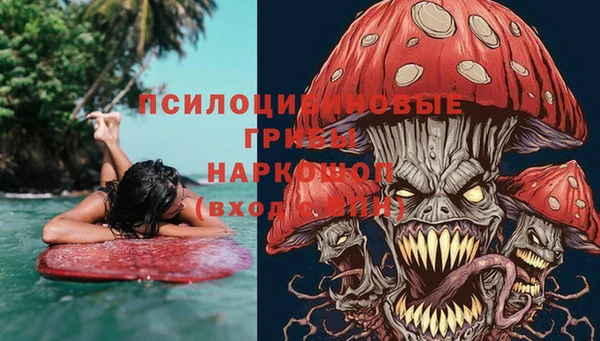 гидропоника Алзамай