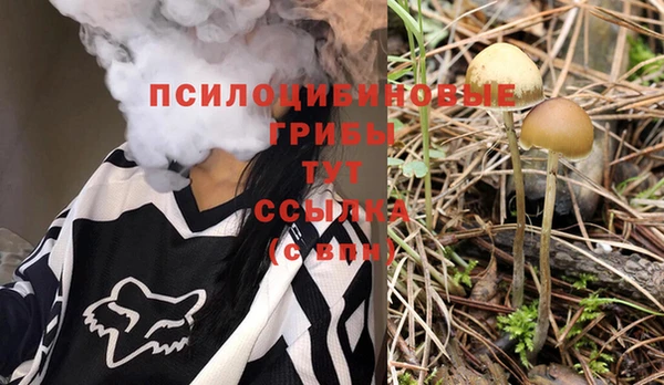 гидропоника Алзамай