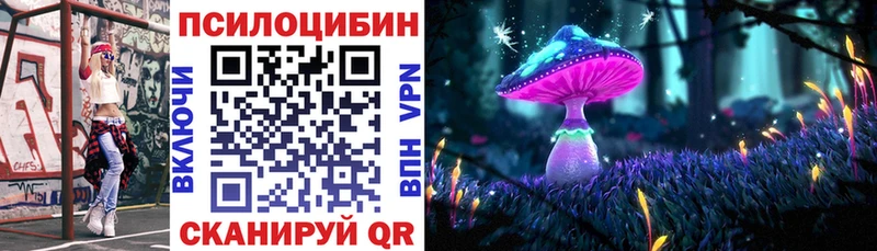 дарнет шоп Алексеевка Галлюциногенные грибы Cubensis