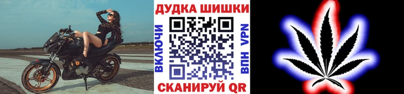 Каннабис OG Kush наркотики Алексеевка